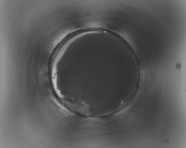 X0000113851023200910151207