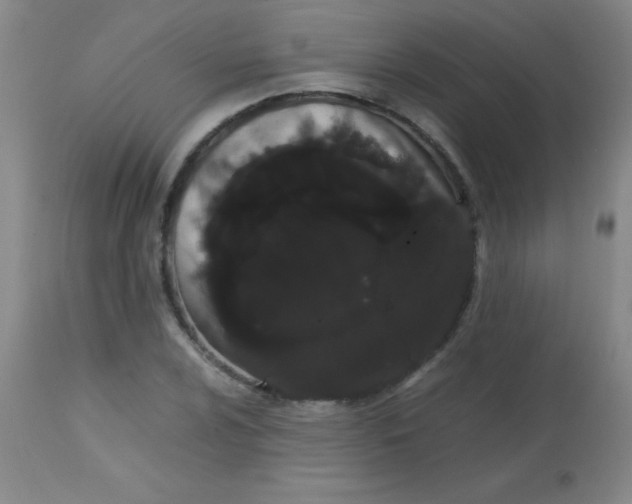 X0000113851024200910151207