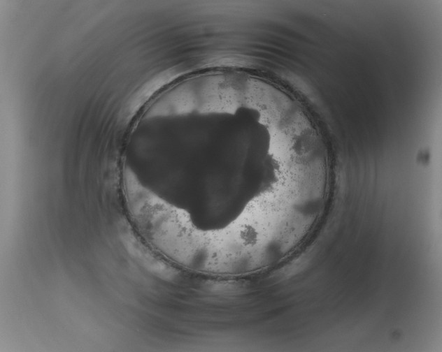 X0000113851025200910151207