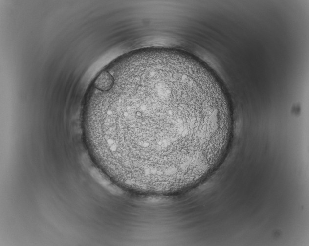 X0000113851026200910151207