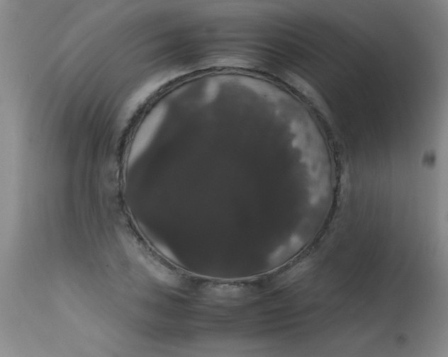 X0000113851027200910151207