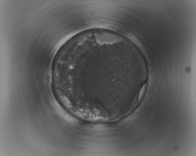 X0000113851028200910151207