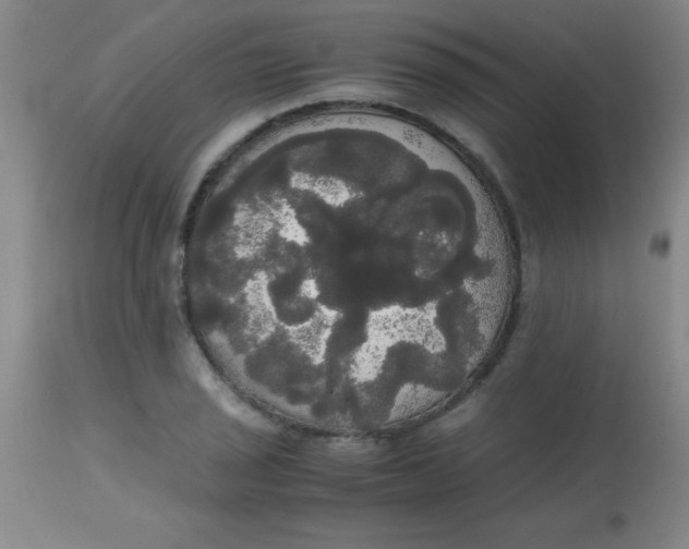 X0000113851029200910151207