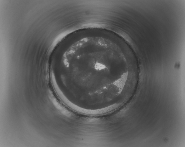 X0000113851030200910151207