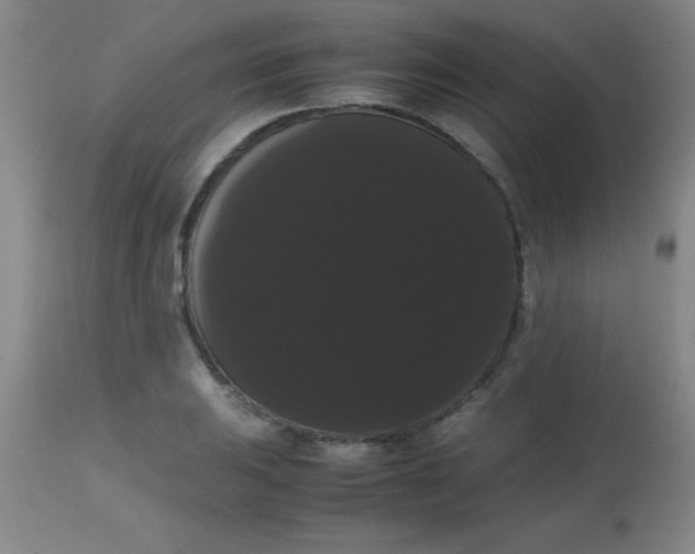 X0000113851031200910151207