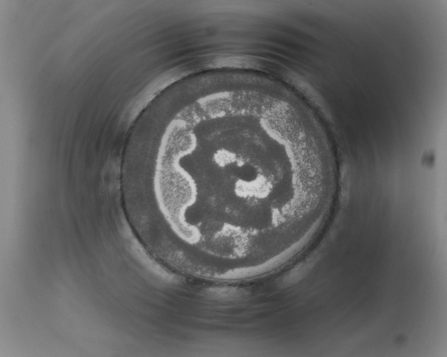 X0000113851033200910151207