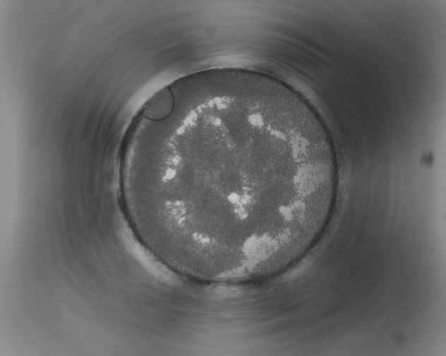 X0000113851034200910151207