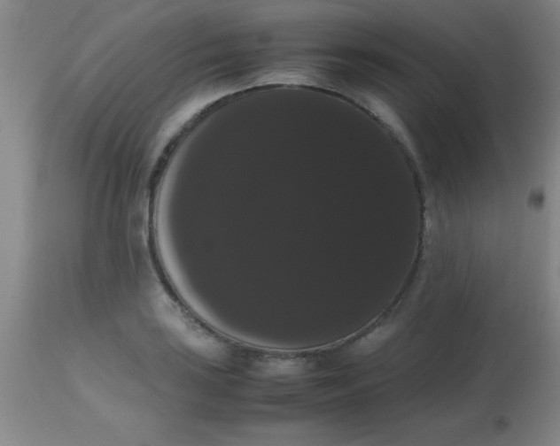 X0000113851035200910151207