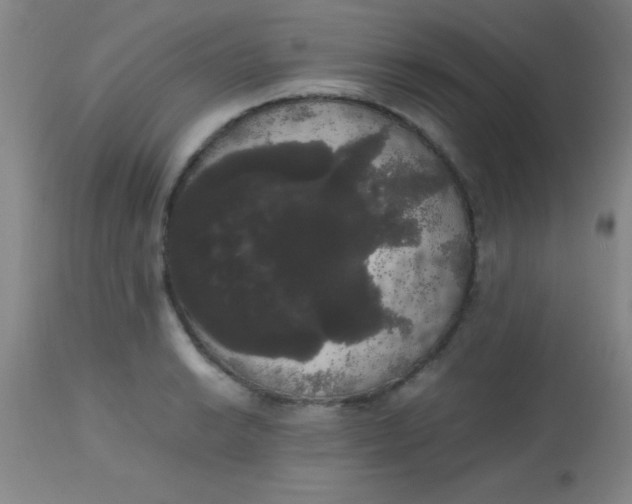 X0000113851038200910151207