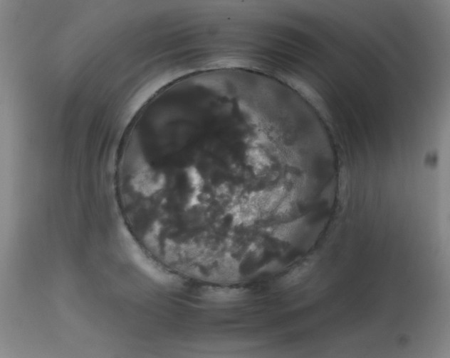 X0000113851039200910151207