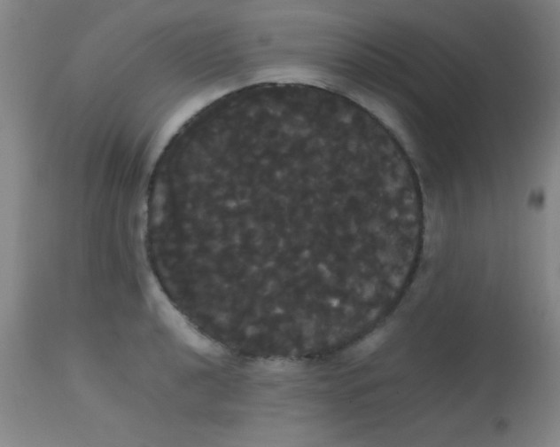 X0000113851040200910151207