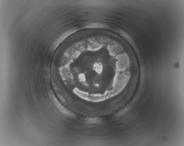 X0000113851041200910151207