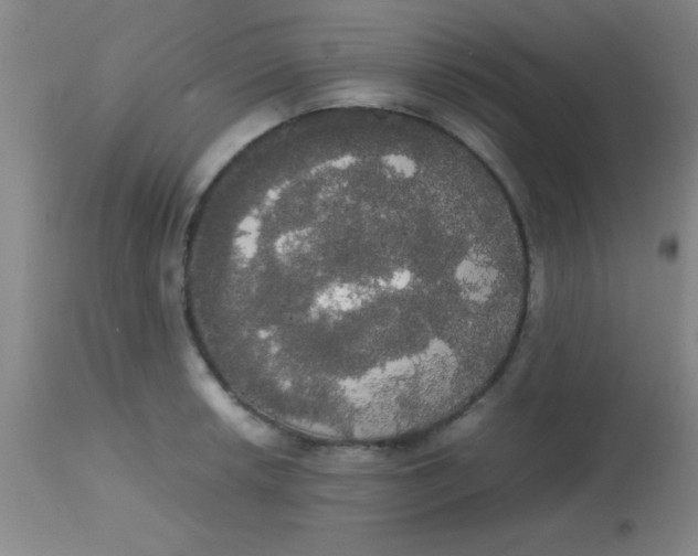 X0000113851042200910151207