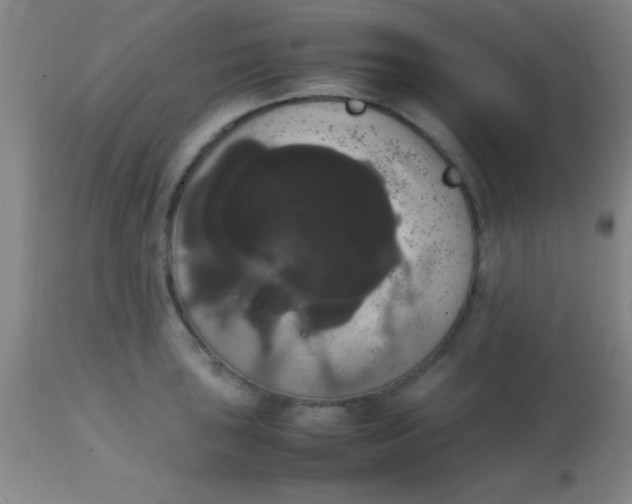 X0000113851043200910151207