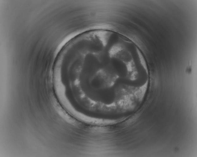 X0000113851044200910151207