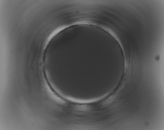 X0000113851045200910151207