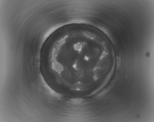 X0000113851046200910151207