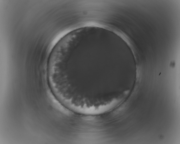 X0000113851048200910151207