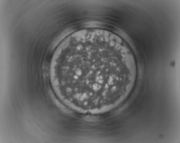 X0000113851049200910151207