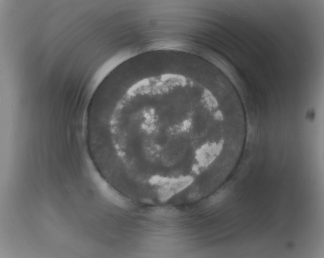 X0000113851050200910151207