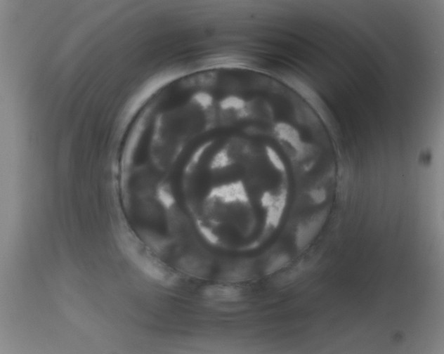 X0000113851051200910151207