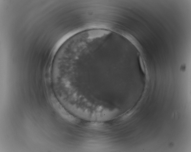 X0000113851052200910151207