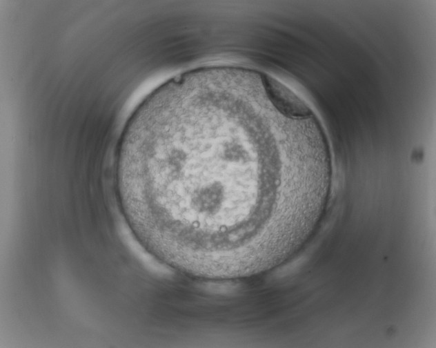 X0000113851053200910151207