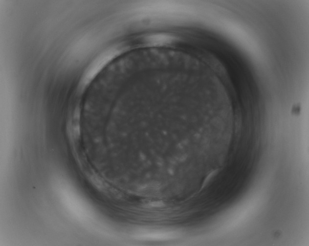 X0000113851054200910151207