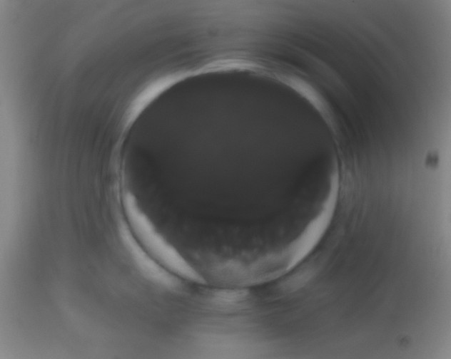 X0000113851055200910151207