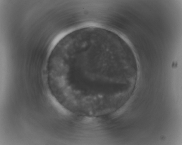 X0000113851056200910151207