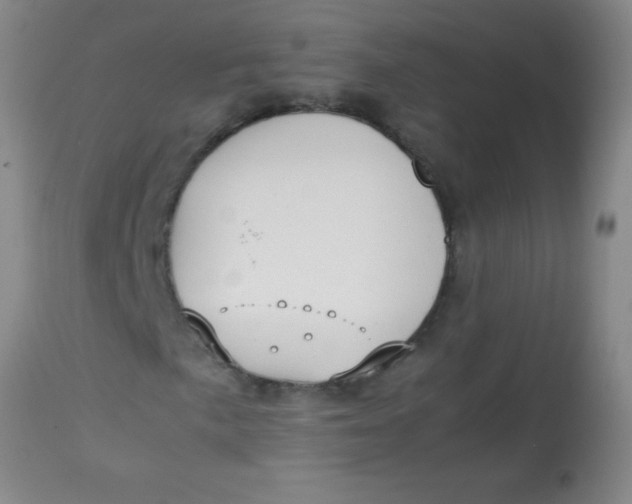 X0000113851057200910151206