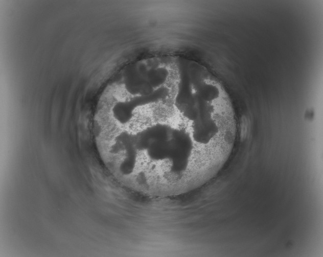 X0000113851059200910151206