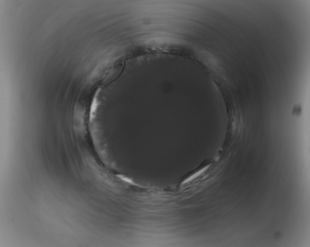 X0000113851060200910151206