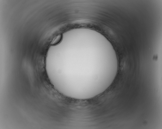 X0000113851062200910151206