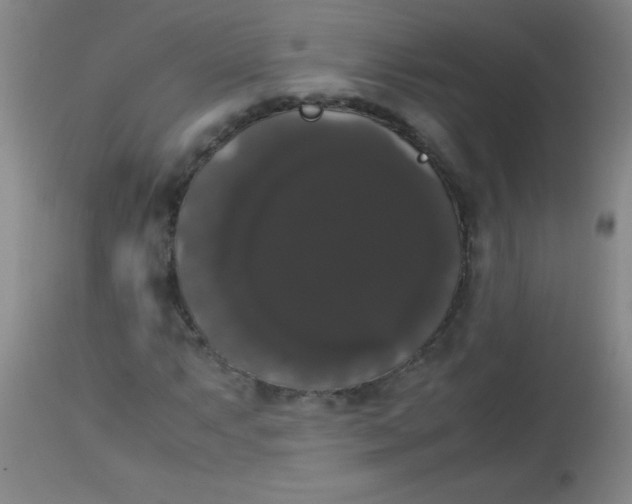 X0000113851063200910151206