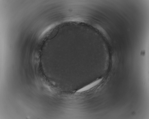 X0000113851064200910151206