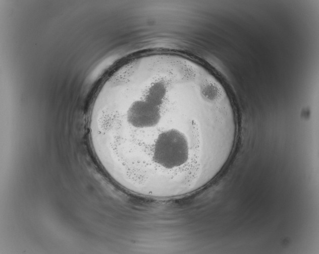 X0000113851067200910151206