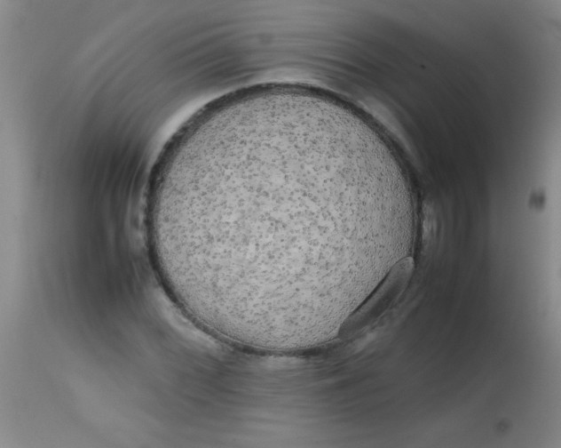 X0000113851068200910151206