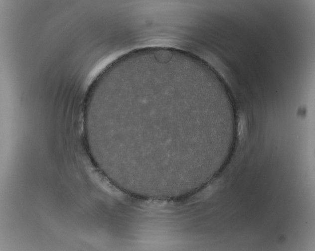 X0000113851069200910151206