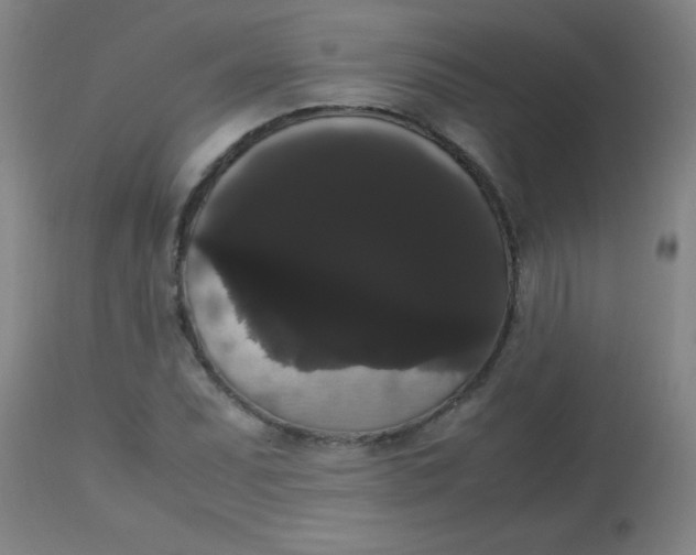 X0000113851071200910151206