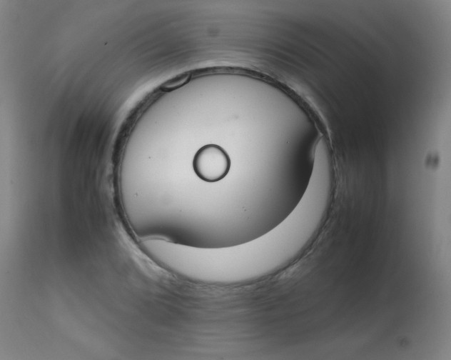 X0000113851072200910151206