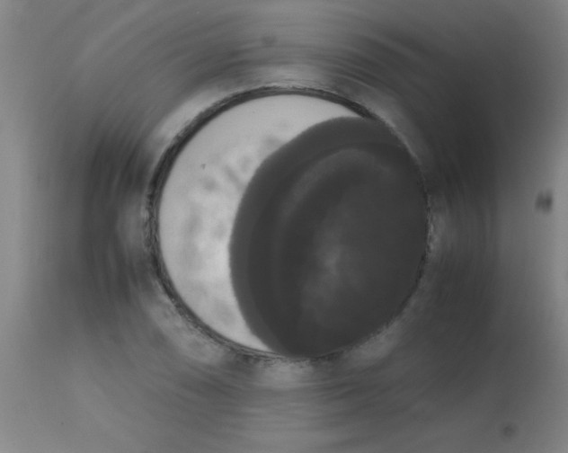 X0000113851074200910151206