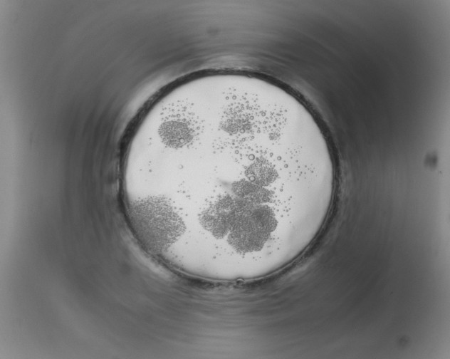 X0000113851075200910151206