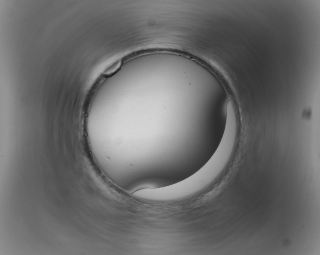 X0000113851077200910151206