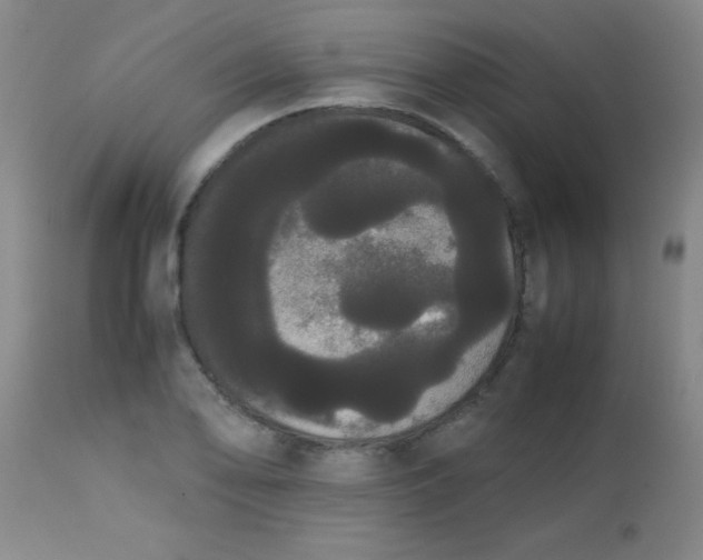 X0000113851078200910151206