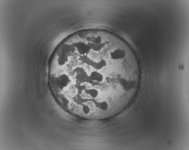 X0000113851079200910151206