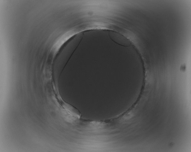 X0000113851081200910151206