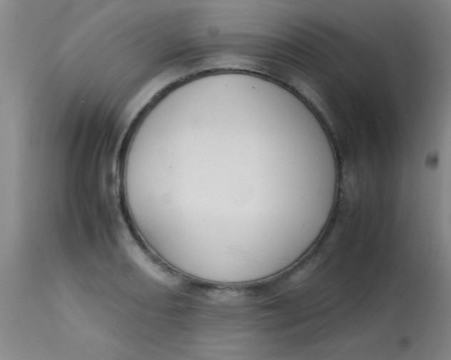 X0000113851082200910151206