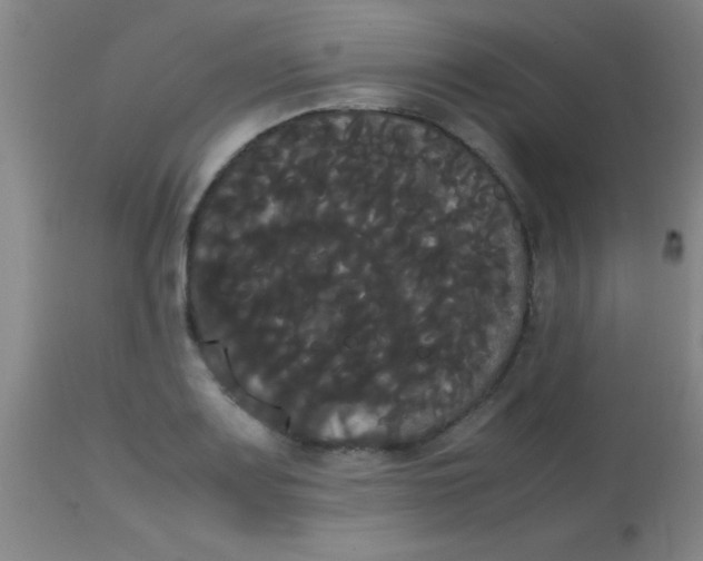 X0000113851083200910151206