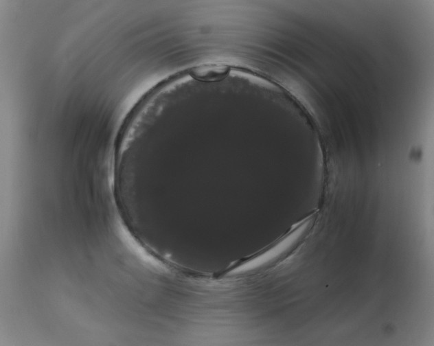 X0000113851084200910151206